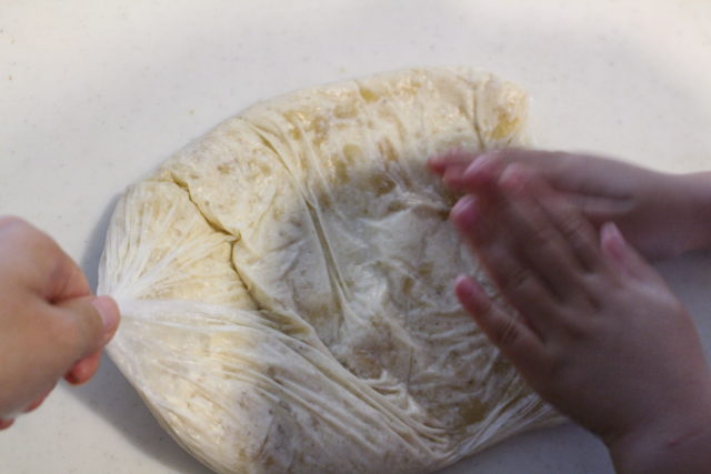 IMG 9685 人気の豆腐バナナアイスの作り方。ミキサーなしの簡単レシピ。乳・卵不使用。